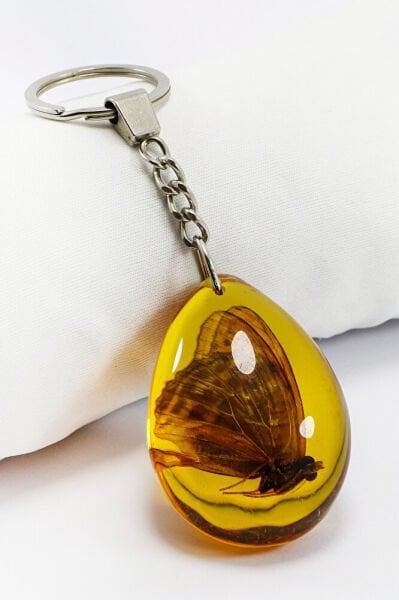 Amber Drop Real Butterfly Fossil Keychain, Butterfly Gift Keychain