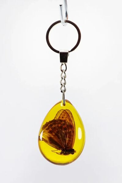 Amber Drop Real Butterfly Fossil Keychain, Butterfly Gift Keychain